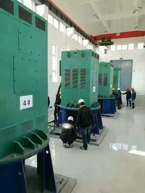 金平某污水处理厂使用我厂的立式高压电机安装现场生产厂家