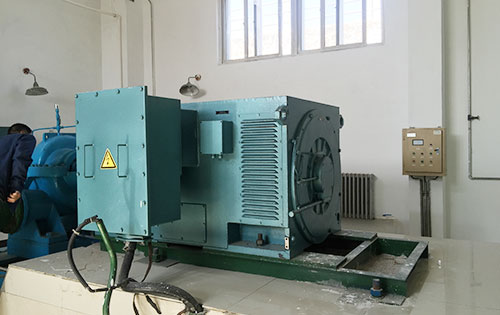 金平某水电站工程主水泵使用我公司高压电机
